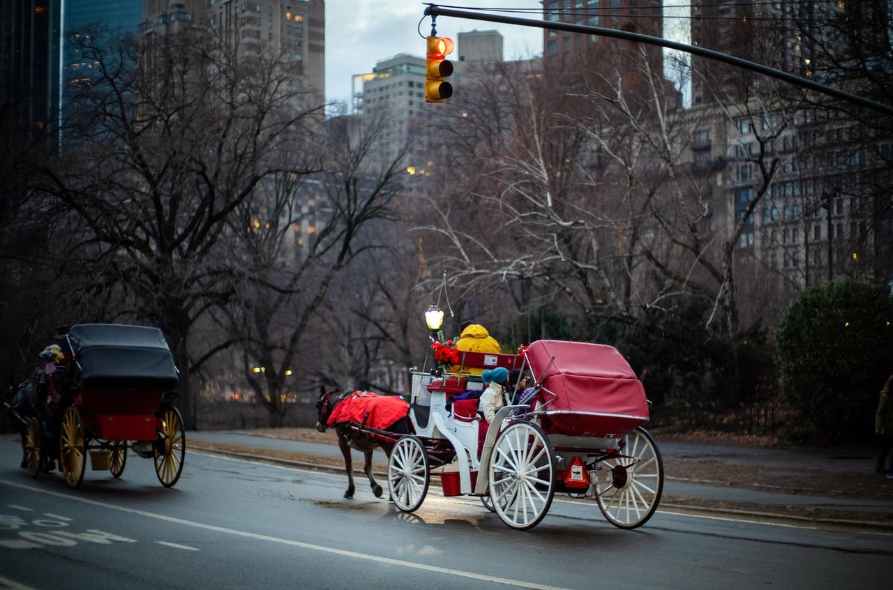 Horse Story Red Carriage Horse Story Red Carriage